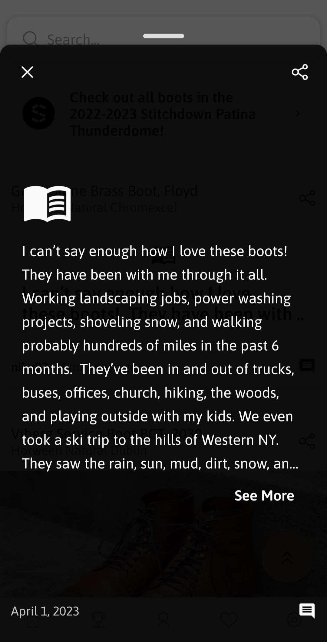 story-modal